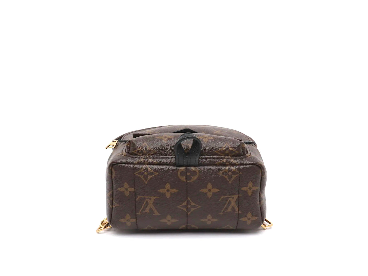 Louis Vuitton Palm Springs Mini Monogram Canvas