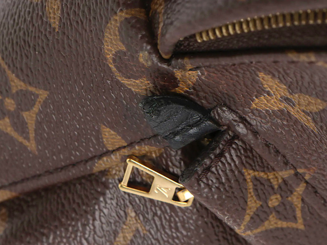 Louis Vuitton Palm Springs Mini Monogram Canvas