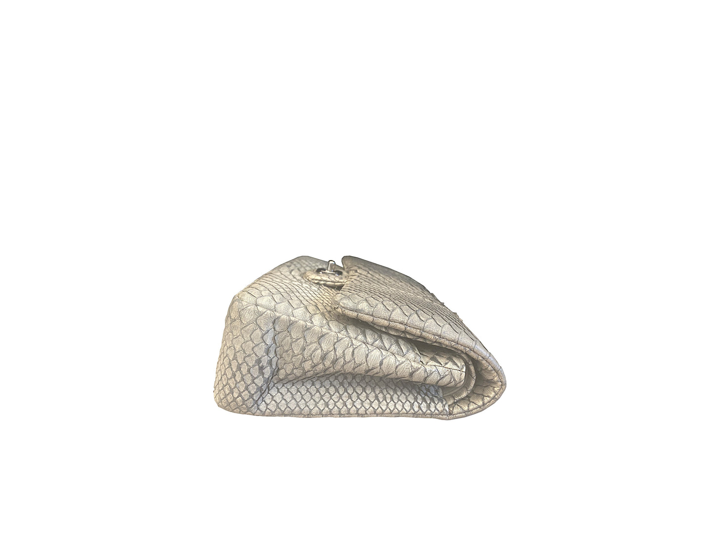 Chanel Flap Python Medium