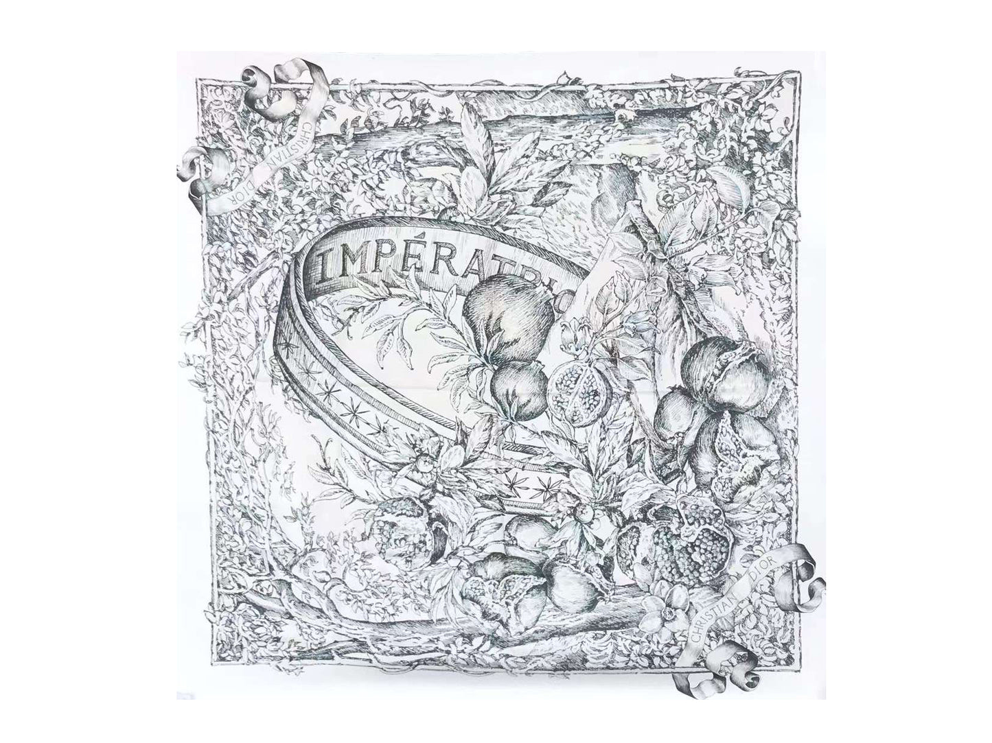 Christian Dior Silk Scarf